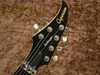 Caparison dellinger 4.jpg
